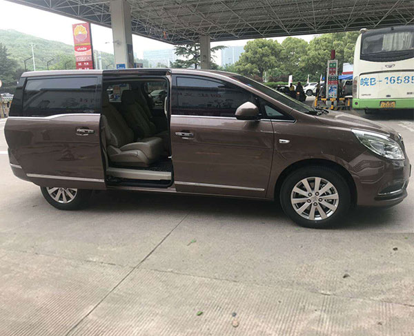 商務車（10)